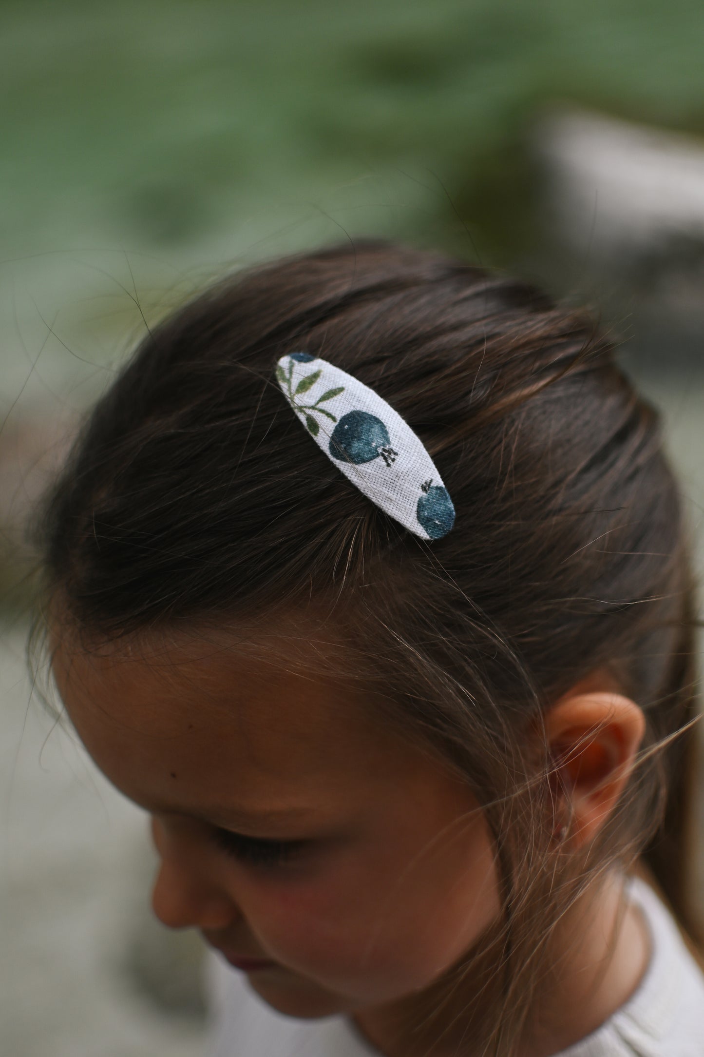 Oval špangice blueberries